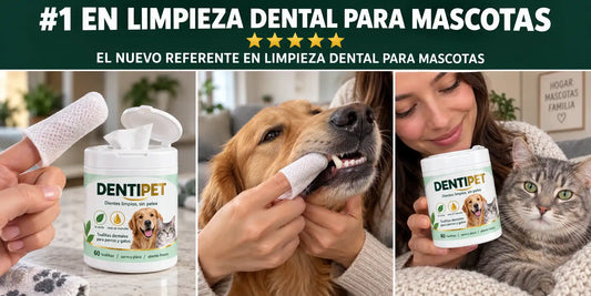 Dentipet - Toallitas Dentales para Perros y Gatos